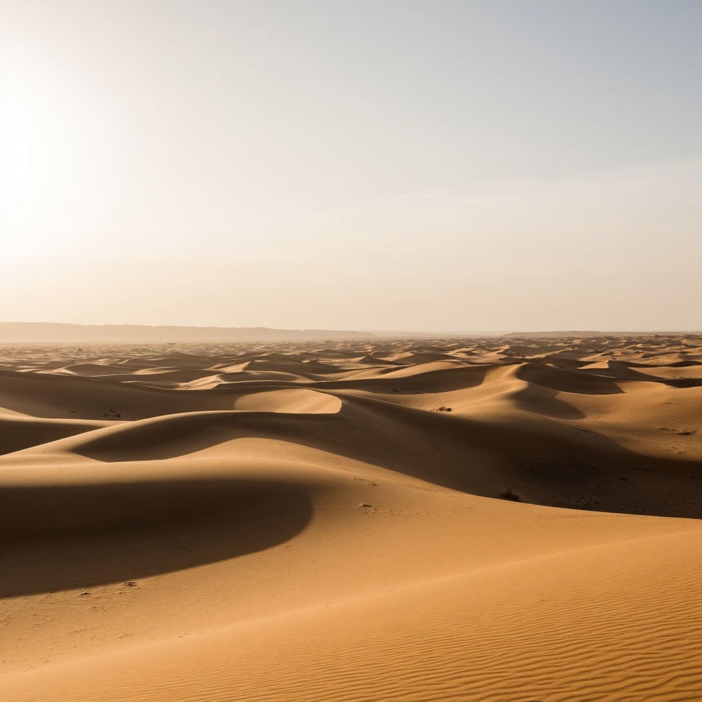 Почему в пустыне жарко, а на полюсе — холодно?